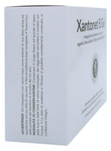 Carica l'immagine nel visualizzatore di Gallery, Bromatech Xantonet B Gel - Integratore Alimentare Naturale - A Base di Agenti Idrocolloidi e Fibre Naturali Prebiotiche 