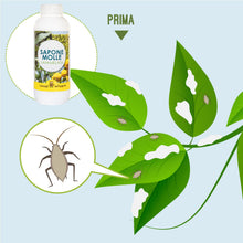 Carica l'immagine nel visualizzatore di Gallery, I CONSIGLI DELL'ESPERTO- Sapone Molle Potassico Concentrato 250 ml – Corroborante Naturale Bio per Piante, Orto e Giardi