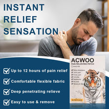 Carica l'immagine nel visualizzatore di Gallery, ACWOO Cerotti per Alleviare Il Dolore, 80 Pezzi Cerotto Antidolorifico Della Tigre, Cerotti Antidolorifici per Schiena, 