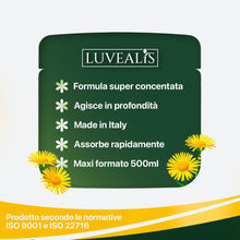 Carica l'immagine nel visualizzatore di Gallery, Arnica Gel Forte 98% Arnica per Cavalli Uso Umano Con Artiglio del Diavolo