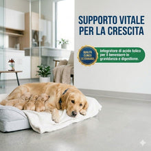 Carica l'immagine nel visualizzatore di Gallery, FolicVet Acido Folico per Cani e Gatti, Vitamina B9, 15 Compresse