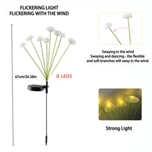 Carica l'immagine nel visualizzatore di Gallery, 2 Pezzi Luci Solari Esterno, 8 LED Lampade Solari Meduse Luci