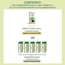 Carica l'immagine nel visualizzatore di Gallery, Dr. Giorgini FICO (Ficus Carica) Gemmoderivato Concentrato Liquido Analcoolico - 200 ml