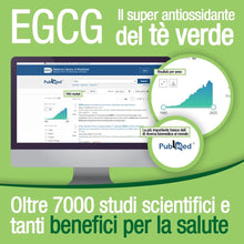 Carica l'immagine nel visualizzatore di Gallery, EGCG da tè verde ≥95% - Stimolante metabolico, blocca-fame, energizzante