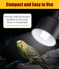 Carica l'immagine nel visualizzatore di Gallery, KINGYEENUO E27 Lampadina UVA UVB per Uccelli 2.4 UVB 20W Lampada