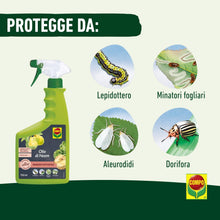 Carica l'immagine nel visualizzatore di Gallery, COMPO Olio di Neem, Contro Afidi e Lepidotteri, Pronto Uso, 750ml