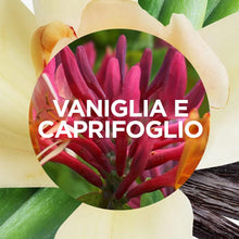 Carica l'immagine nel visualizzatore di Gallery, Airwick Active Fresh Deodorante per Ambienti, Ricarica per Diffusore Spray Automatico senza Gas alla fragranza Vaniglia 