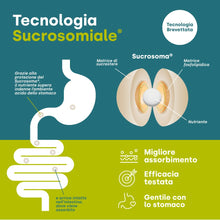 Carica l'immagine nel visualizzatore di Gallery, Apportal®, Integratore Alimentare 4 in 1, Tonico-Energizzante con 19 nutrienti in una bustina, Utile per ridurre stanche