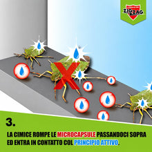 Carica l'immagine nel visualizzatore di Gallery, ZIG-ZAG Insetticida Spray Contro le Cimici, Microincapsulato, 500 ml