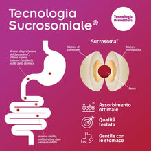 Carica l'immagine nel visualizzatore di Gallery, SiderAL Folico, Integratore alimentare con Ferro Sucrosomiale®, Quatrefolic®, Vitamine D3 e B12 Sucrosomiali®, Donne in 