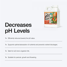 Carica l'immagine nel visualizzatore di Gallery, Xpert Nutrients pH Down - Diminuisce i livelli di pH per la fase di crescita e fioritura (1L)