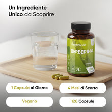 Carica l'immagine nel visualizzatore di Gallery, Berberina Vegana, 4 Mesi di Scorta, 1 Capsula al Giorno, Integratore Berberina 500 mg Pura 85%, 120 Capsule, Berberine P