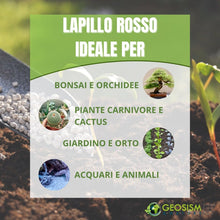 Carica l'immagine nel visualizzatore di Gallery, GEOSISM &amp; NATURE - Lapillo vulcanico rosso, 100% naturale, per giardinaggio, drenaggio, pacciamatura, vasi e terrari (3/