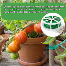 Carica l'immagine nel visualizzatore di Gallery, Cravatta da Giardino Verde, Legaccio per Piante da 50 m, Filo da Giardino Rivestito in Plastica con Taglierina, Multi-Fu