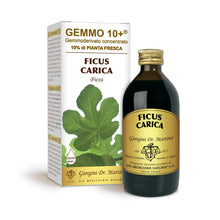 Carica l'immagine nel visualizzatore di Gallery, Dr. Giorgini FICO (Ficus Carica) Gemmoderivato Concentrato Liquido Analcoolico - 200 ml