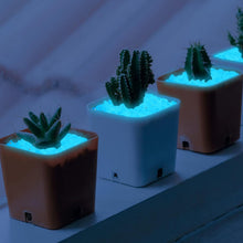 Carica l'immagine nel visualizzatore di Gallery, Pietre Decorative 10000 Pezzi Pietre da Giardino Pietre Luminose Giardino