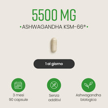 Carica l'immagine nel visualizzatore di Gallery, Ashwagandha KSM-66 Capsule Bio | 5500 mg Derivato da 550 mg di Estratto Alta Concentrazione in Polvere | 3 Mesi | Ashwag