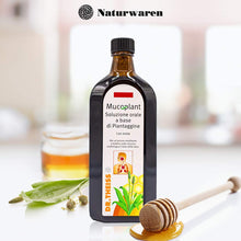 Carica l'immagine nel visualizzatore di Gallery, Dr. Theiss Mucoplant Piantaggine 250 ml - Sciroppo Gola e Vie Respiratorie, con Calmanti Naturali (Miele, Melassa, Menta