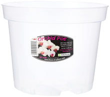Carica l'immagine nel visualizzatore di Gallery, Vaso da orchidea trasparente del diametro di 21 cm