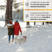Carica l'immagine nel visualizzatore di Gallery, SWISSE Ultiboost Equilibrio C Gommose - Vitamina C per Supporto Sistema Immunitario Adulti, Integratori con Prebiotici p