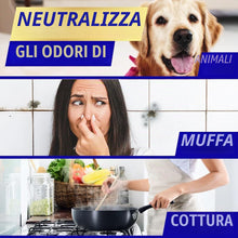 Carica l'immagine nel visualizzatore di Gallery, Vanish - Detergente per tappeti + tappezzeria, Gold Power Foam Shampoo, pulizia di grandi aree, 600 ml