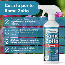 Carica l'immagine nel visualizzatore di Gallery, Rame Zolfo Spray 500 ml – Trattamento naturale pronto all’uso per piante ornamentali, da frutto, orto e giardino – Con r