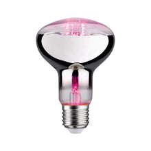 Carica l'immagine nel visualizzatore di Gallery, Paulmann Edition Grow Green LED con filamento e riflettore E27 R80 6,5 W 1300 K