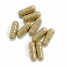Carica l'immagine nel visualizzatore di Gallery, Ginkgo Biloba BIO | Forte | Memoria, Circolazione Sanguigna | 90 capsule