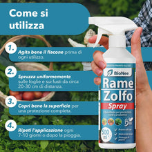 Carica l'immagine nel visualizzatore di Gallery, Rame Zolfo Spray 500 ml – Trattamento naturale pronto all’uso per piante ornamentali, da frutto, orto e giardino – Con r