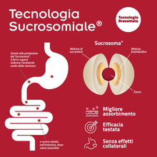 Carica l'immagine nel visualizzatore di Gallery, SiderAL, Integratore alimentare a base di Ferro Sucrosomiale®, Vitamina C e B12 Sucrosomiale®, No Gusto metallico, Alta 