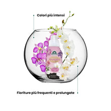 Carica l'immagine nel visualizzatore di Gallery, Concime Orchidee, 330ml