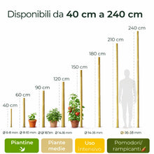 Carica l'immagine nel visualizzatore di Gallery, Tutori in Bambù Naturale – Pali per Pomodori, Sostegni per Piante da Interno ed Esterno – Bastoni per Orto e Giardinaggi