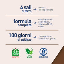 Carica l'immagine nel visualizzatore di Gallery, LongLife® Iron complex | 4 sali di ferro ad alta biodisponibilità | Con vitamina C e B12, acido folico e rame | Oltre 3 