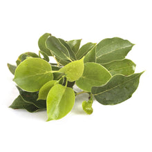 Carica l'immagine nel visualizzatore di Gallery, RAVINTSARA BIO - 30mL - Olio Essenziale di Qualità Premium - 100% Puro, Naturale, Integrale - Supporto al Sistema Immuni