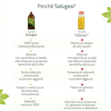 Carica l'immagine nel visualizzatore di Gallery, SUCCO DI ALOE VERA Bio Salugea - 100% Puro E Biologico - Integratore Detox, Antiossidante e Depurante - Digestione e Dif