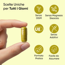 Carica l'immagine nel visualizzatore di Gallery, Berberina Vegana, 4 Mesi di Scorta, 1 Capsula al Giorno, Integratore Berberina 500 mg Pura 85%, 120 Capsule, Berberine P