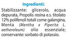 Carica l'immagine nel visualizzatore di Gallery, ESI - Propolaid Spray Gola alla Menta, Integratore Alimentare con Propolis, Favorisce il Benessere del Cavo Orale e dell