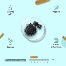 Carica l'immagine nel visualizzatore di Gallery, Shilajit Complex 18210mg, 120 Capsule Vegane, 1 al Giorno (per 4 Mesi), con Ashwagandha Bio, Curcuma Bio, Lions Mane Mus