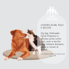 Carica l'immagine nel visualizzatore di Gallery, ZIG - ZAG Insetticida Spray Antipulci per ambienti, efficace contro pulci, zecche, mosche, zanzare e formiche, applicabi