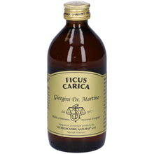 Carica l'immagine nel visualizzatore di Gallery, Dr. Giorgini FICO (Ficus Carica) Gemmoderivato Concentrato Liquido Analcoolico - 200 ml
