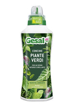 Carica l'immagine nel visualizzatore di Gallery, GESAL Concime Piante Verdi, Per un Verde Intenso e Brillante, 750 ml
