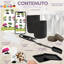 Carica l'immagine nel visualizzatore di Gallery, CULTIVEA Kit First Bonsai – Kit Completo con Semi, Accessori e Guida – Bonsai da Coltivare | Idea Regalo Originale (Cerc