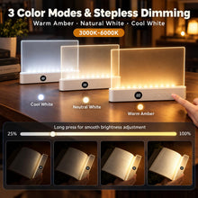 Carica l'immagine nel visualizzatore di Gallery, Funmo Lampada da Lettura a LED Piatta, Portatile con Timer e 3 Colori, Luce per Libri a Pannello per Lettura Notturna, R