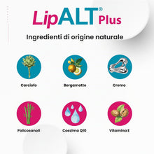 Carica l'immagine nel visualizzatore di Gallery, Lipalt Plus - Integratore Senza Monacolina K - Integratore a Base di Coenzima Q10, Bergamotto, Carciofo e Policosanoli -