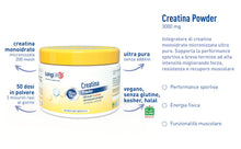 Carica l'immagine nel visualizzatore di Gallery, LongLife® Creatina Powder | Creatina monoidrato micronizzata ultrapura | Energia e forza muscolare | Performance fisica 