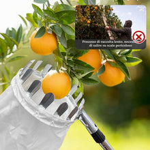 Carica l'immagine nel visualizzatore di Gallery, Raccoglitore di Frutta da 4.2m con Manico telescopico-Raccoglitore di Mele con Sacchetti di Tessuto,Raccogli Frutta Rego