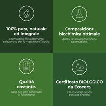 Carica l'immagine nel visualizzatore di Gallery, Ravintsara BIO (Cinnamomum camphora CT cineolo) - 30 mL - Olio Essenziale Chemiotipizzato e Certificato AB - Aroma Labs 