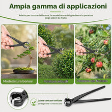 Carica l'immagine nel visualizzatore di Gallery, Taglierina Concava Bonsai, Attrezzi Bonsai Professionale, 210mm Concavo Cutter in Lega di Acciaio al Manganese, per Rimu