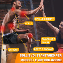 Carica l'immagine nel visualizzatore di Gallery, Arnica Per Cavalli Uso Umano con Acido Ialuronico 600ml Arnica Gel Extra Forte Mentolo e Boswellia Rinfrescante Non Unge