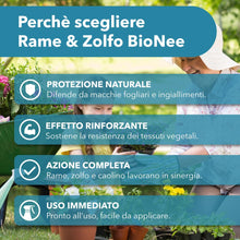 Carica l'immagine nel visualizzatore di Gallery, Rame Zolfo Spray 500 ml – Trattamento naturale pronto all’uso per piante ornamentali, da frutto, orto e giardino – Con r